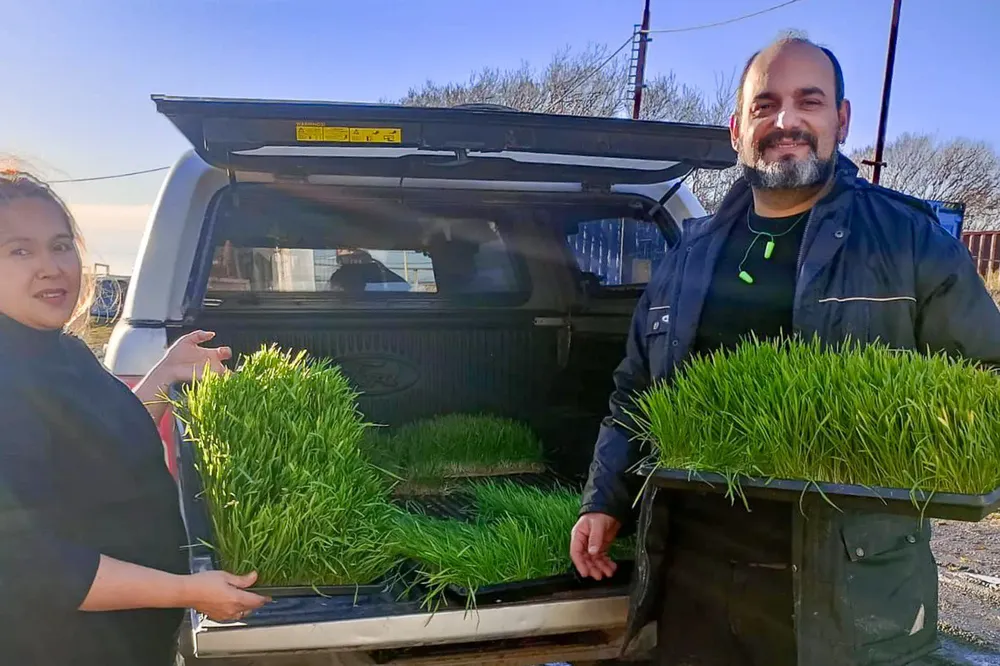 photo_5107642466831543826_w