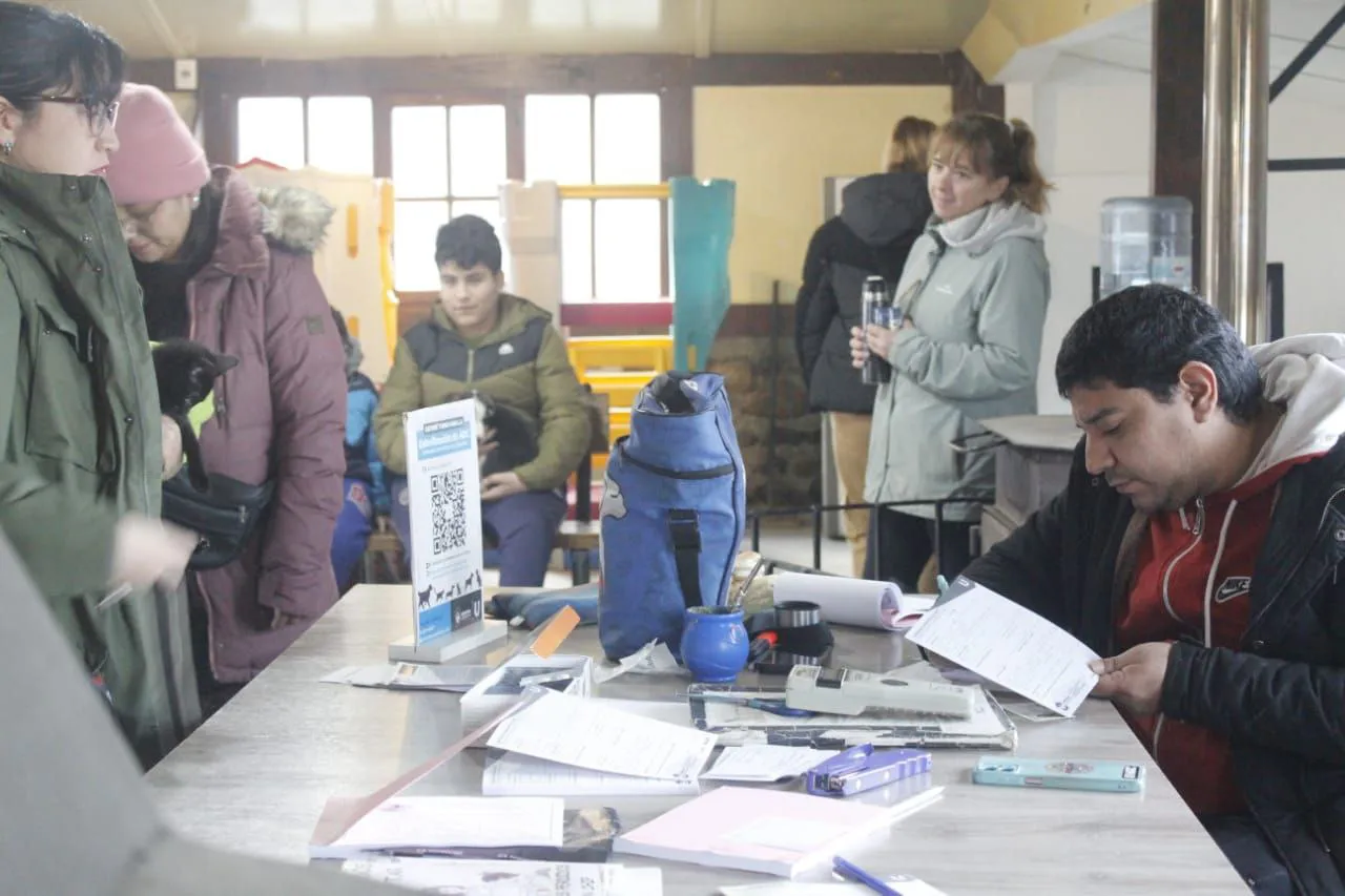 photo_5062180036139921372_y