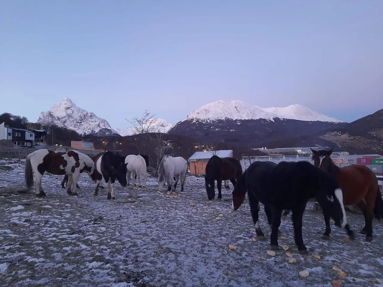 photo_5113912882860502470_y